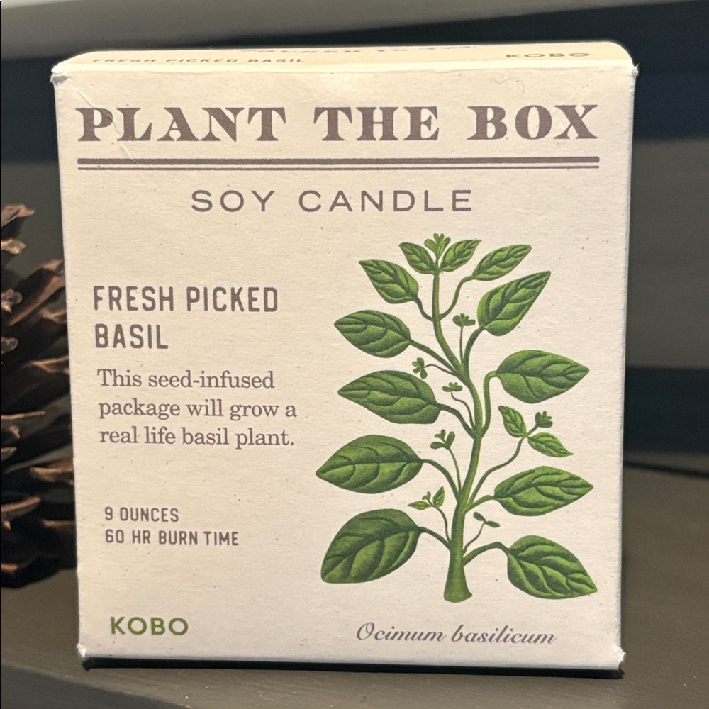Basil Plant the Box Soy Candle 9 oz - Picture 3 of 13